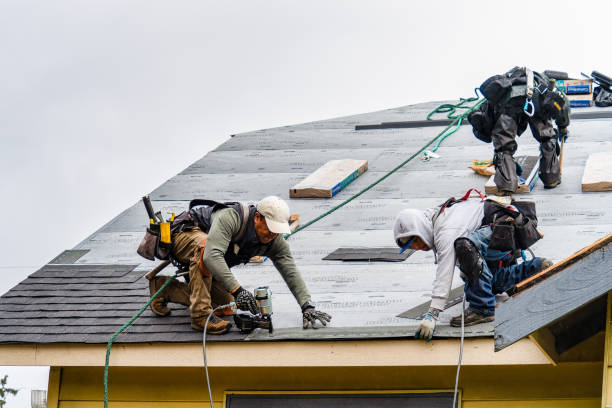 Professional Gutter Installation technician working in Freeport, MN